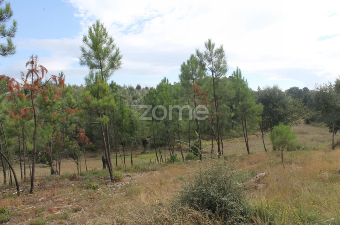 Terreno para Venda em Melres e Medas Foto 28
