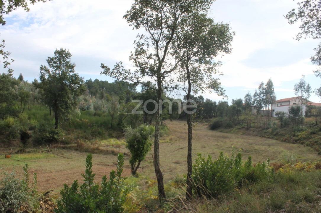 Terreno para Venda em Melres e Medas Foto 30