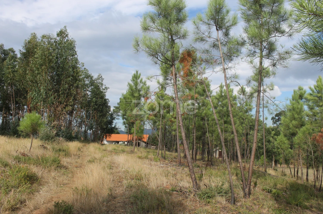 Terreno para Venda em Melres e Medas Foto 34