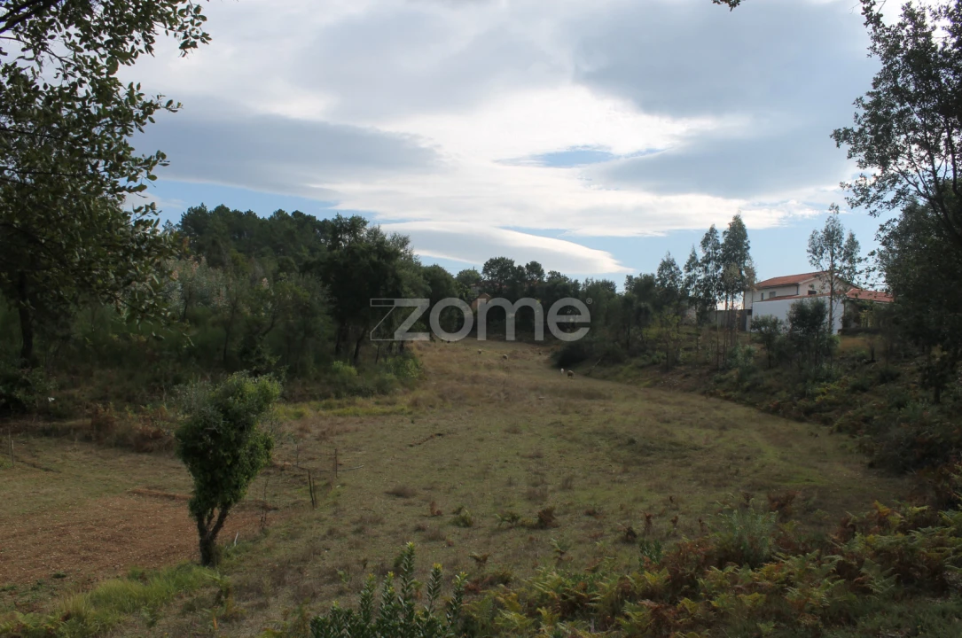 Terreno para Venda em Melres e Medas Foto 6
