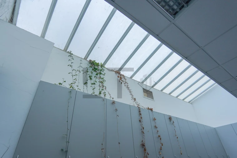 Escritório para Arrendamento em Lumiar Foto 15