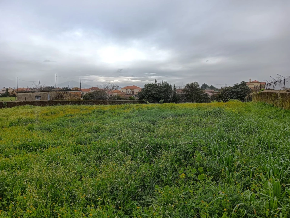Terreno para Venda em Branca Foto 10
