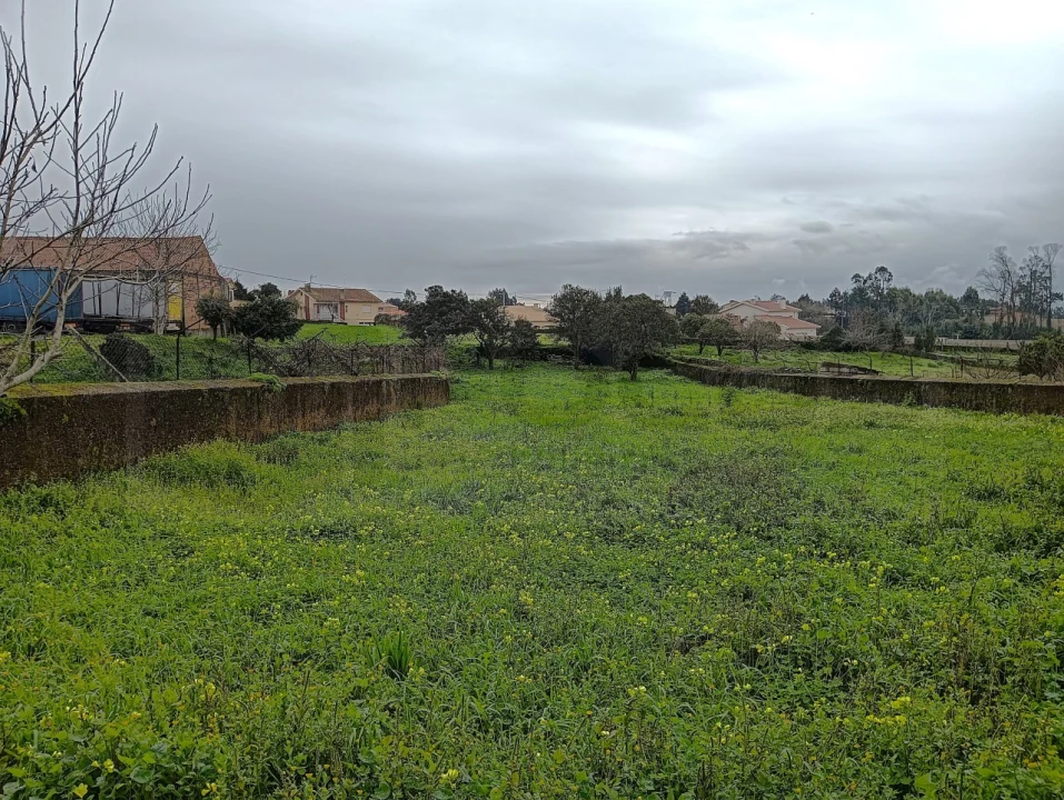 Terreno para Venda em Branca Foto 11