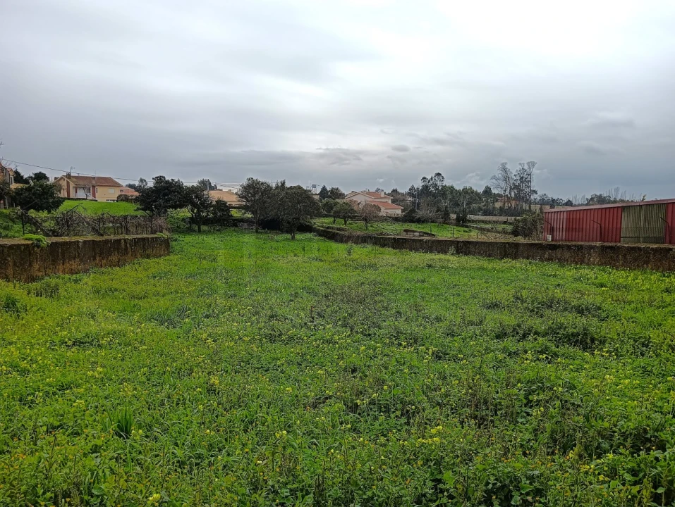 Terreno para Venda em Branca Foto 12