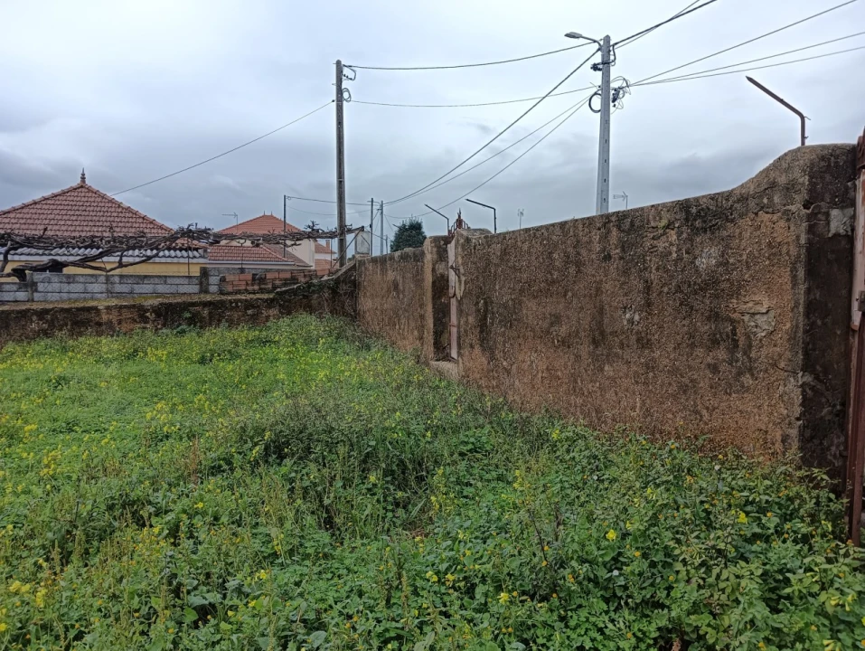 Terreno para Venda em Branca Foto 14