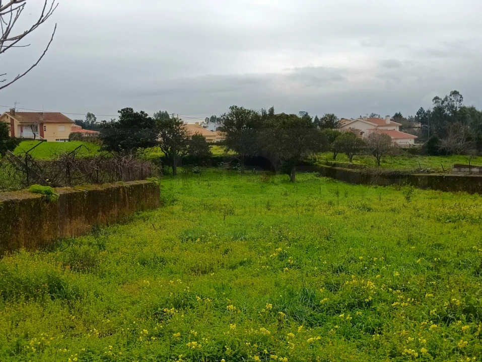 Terreno para Venda em Branca Foto 15
