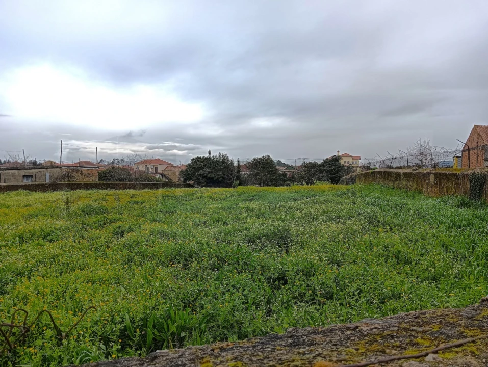 Terreno para Venda em Branca Foto 19