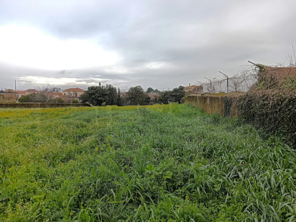 Terreno para Venda em Branca Foto 20