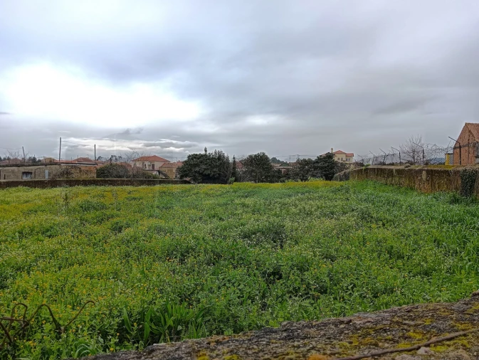 Terreno para Venda em Branca Foto 5