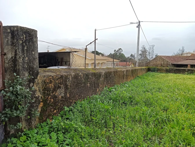 Terreno para Venda em Branca Foto 9
