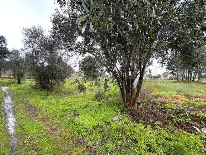 Terreno para Venda em Ouca Foto 3