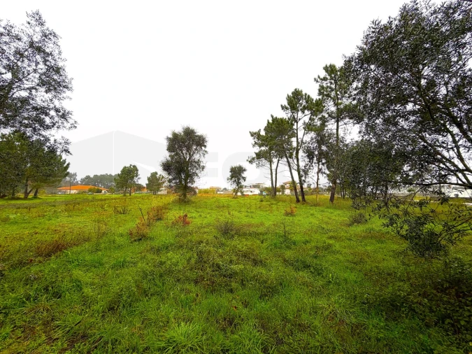 Terreno para Venda em Ouca Foto 16