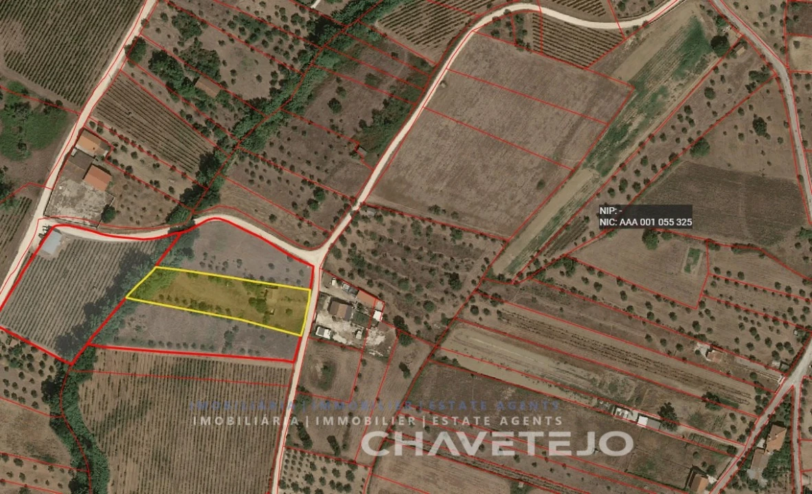 Moradia para Venda em São Pedro de Tomar Foto 34