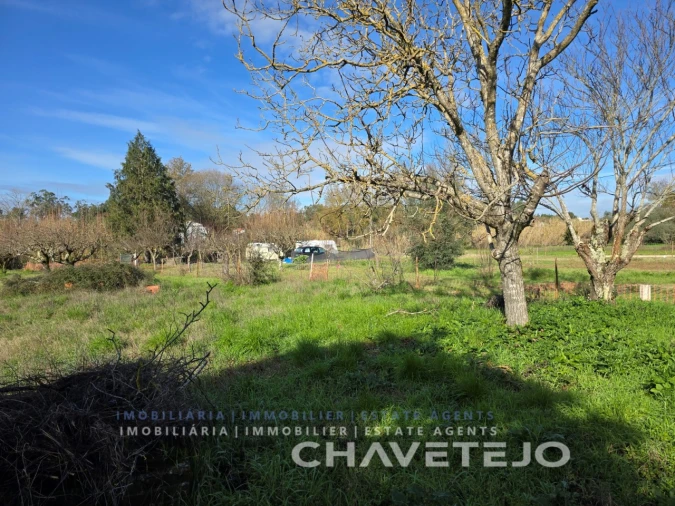 Moradia para Venda em São Pedro de Tomar Foto 7