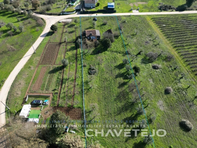 Moradia para Venda em São Pedro de Tomar Foto 4