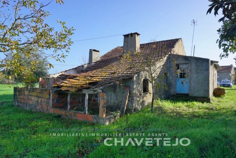 Moradia para Venda em São Pedro de Tomar Foto 3