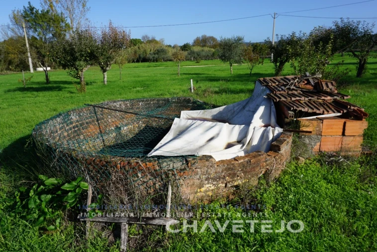Moradia para Venda em São Pedro de Tomar Foto 32
