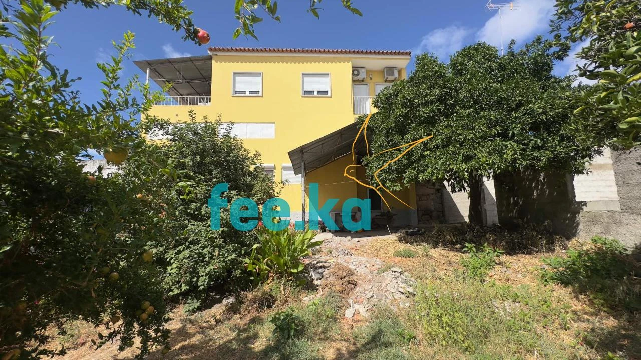 Moradia T10 para Venda em Soalheira Foto 1