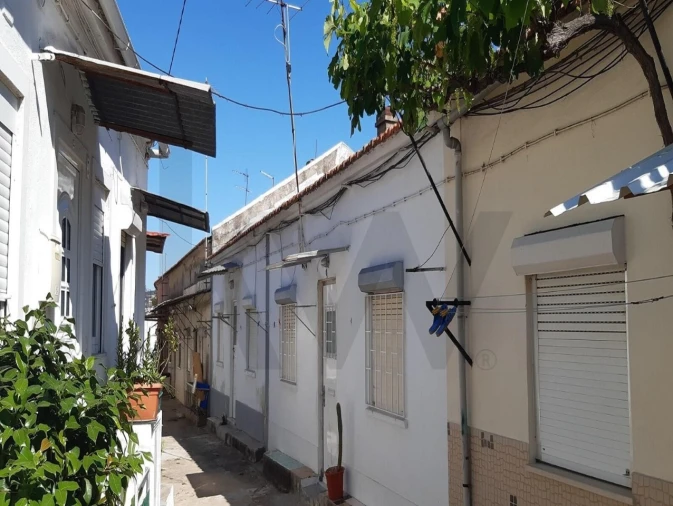 Prédio para Venda em Santa Clara Foto 11