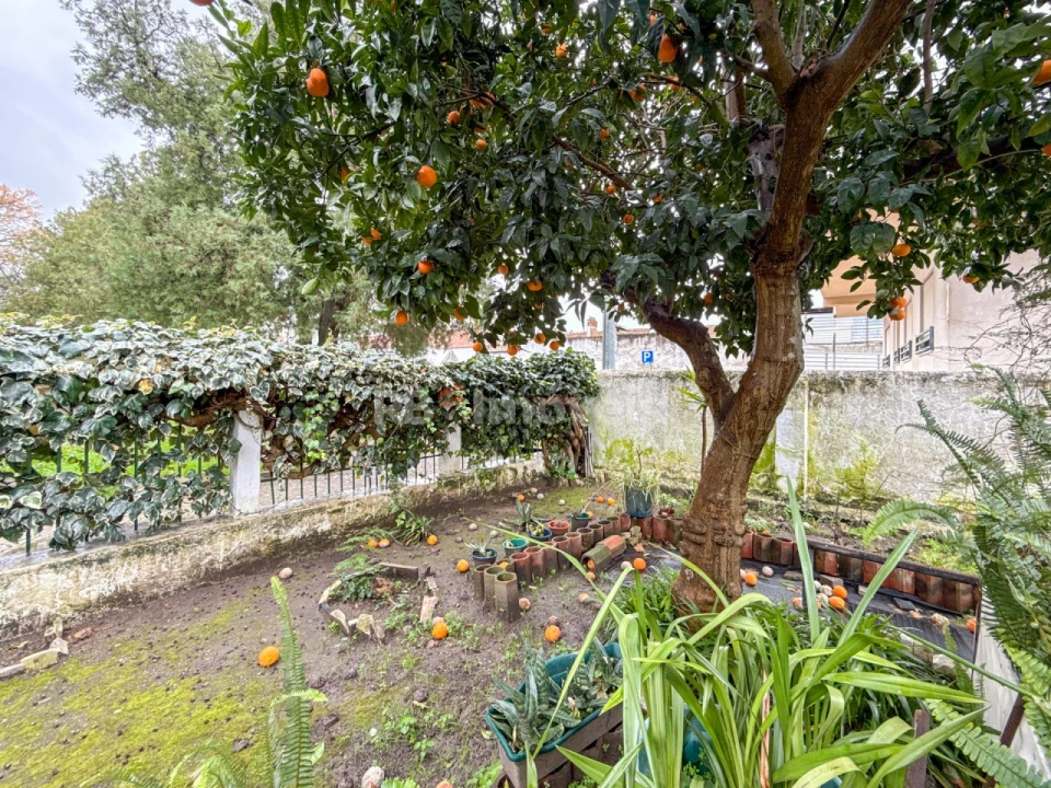 Moradia T4 para Venda em Nossa Sra de Fatima Foto 66