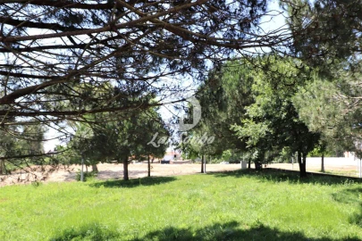 Terreno para Venda em Anta e Guetim