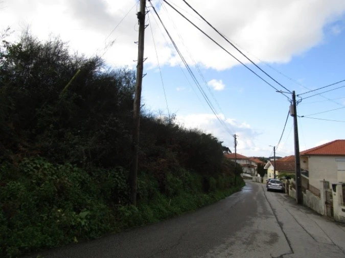 Terreno para Venda em São Miguel do Souto e Mosteirô Foto 3
