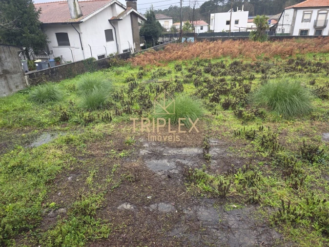 Terreno para Venda em Nogueira e Silva Escura Foto 5