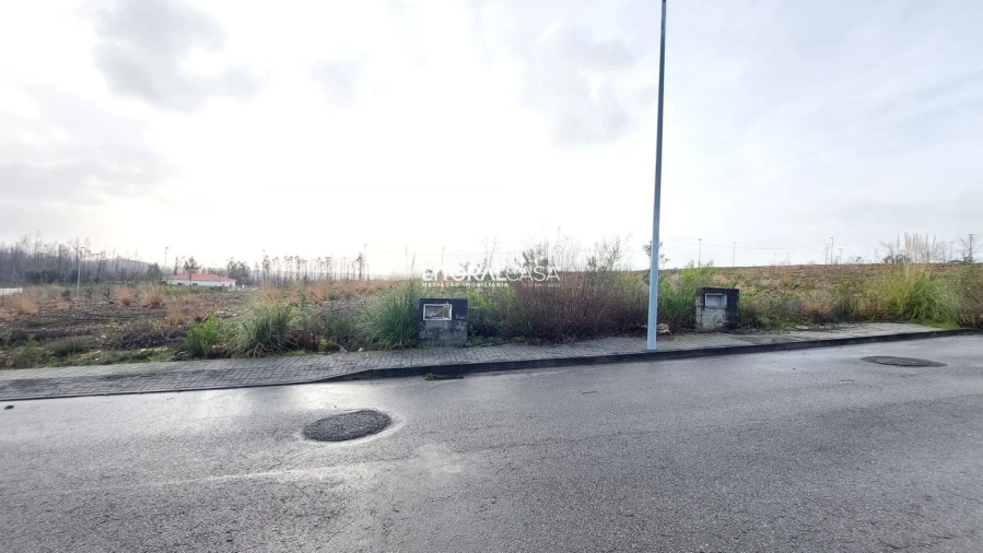 Terreno para Venda em Valongo do Vouga Foto 3