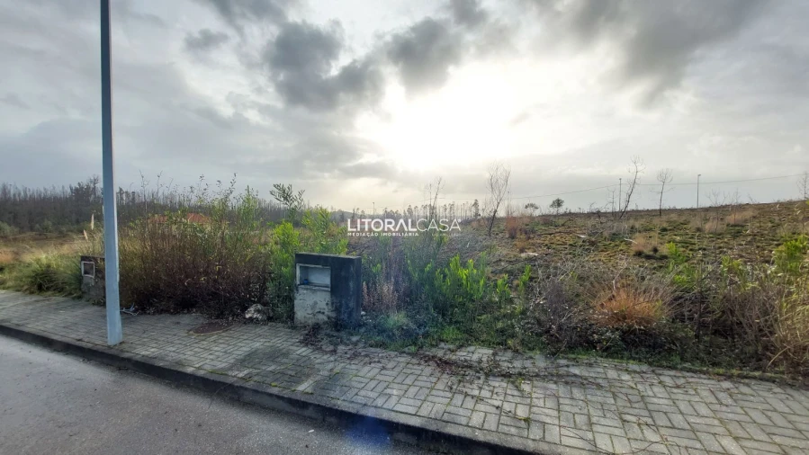 Terreno para Venda em Valongo do Vouga Foto 5