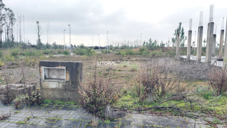 Terreno para Venda em Valongo do Vouga Foto 3