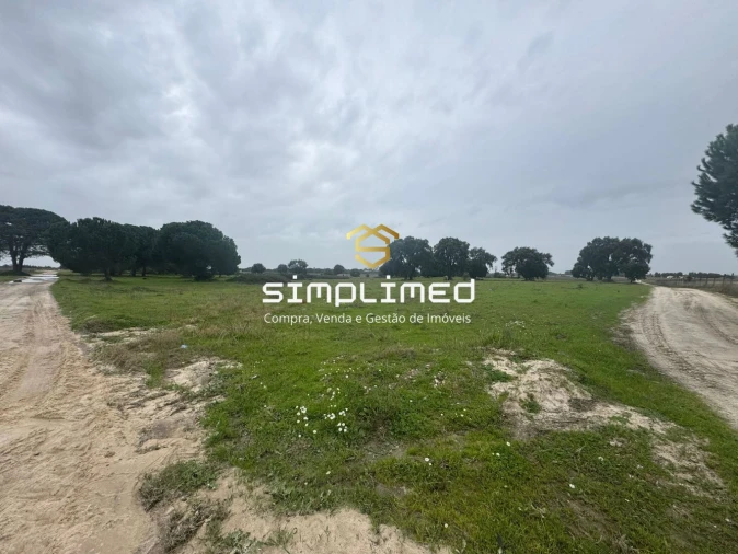 Terreno para Venda em Poceirão e Marateca Foto 2