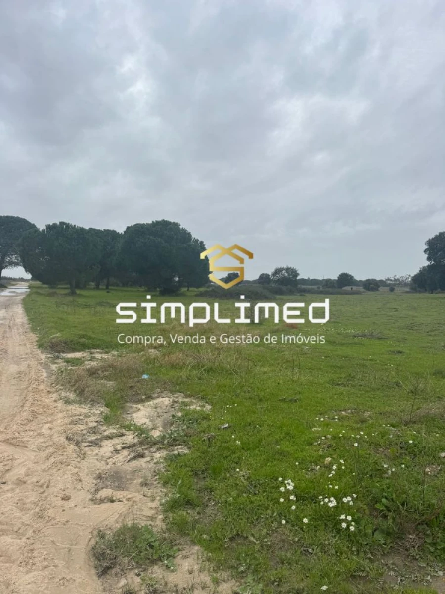 Terreno para Venda em Poceirão e Marateca Foto 15