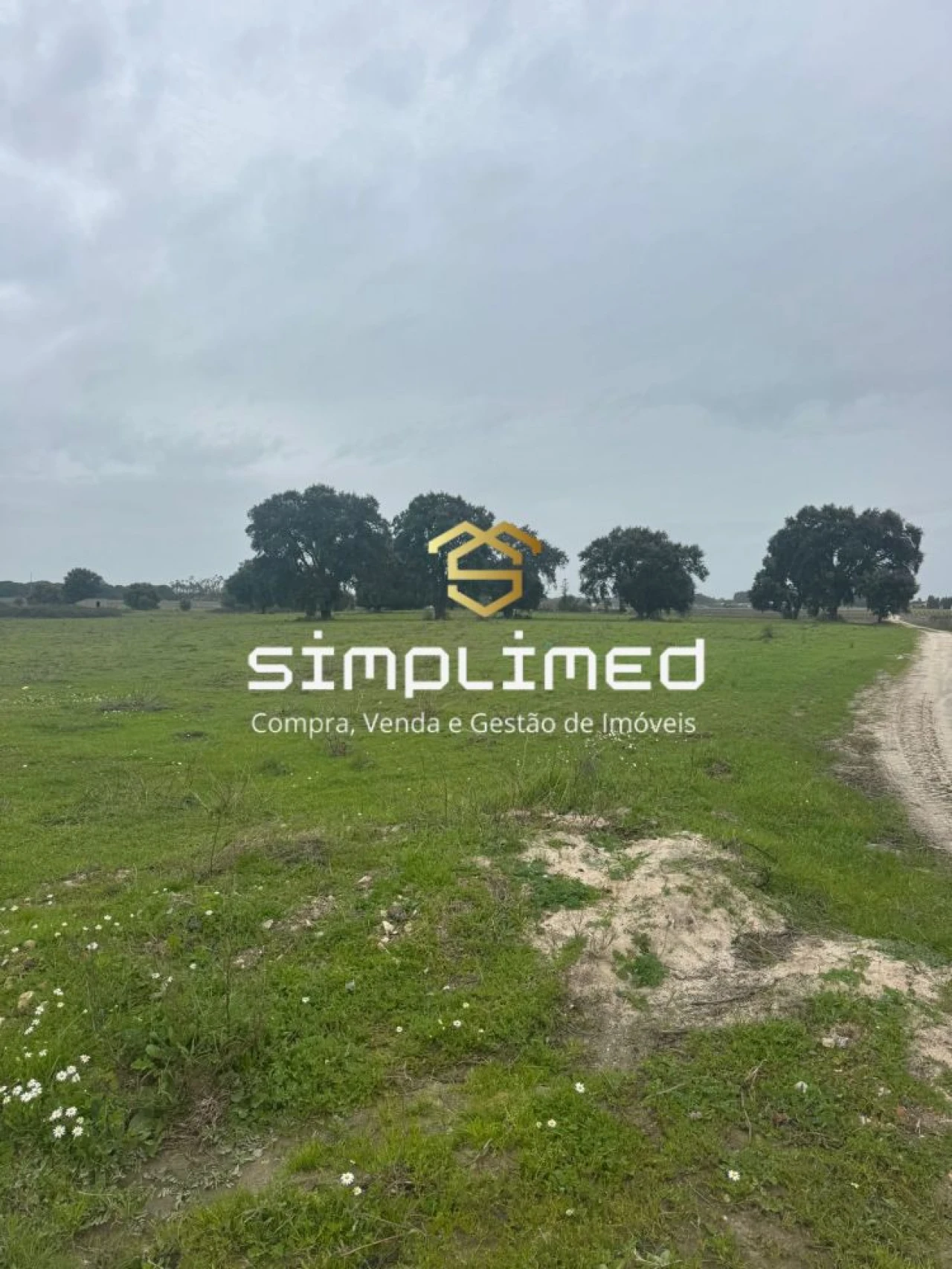 Terreno para Venda em Poceirão e Marateca Foto 8