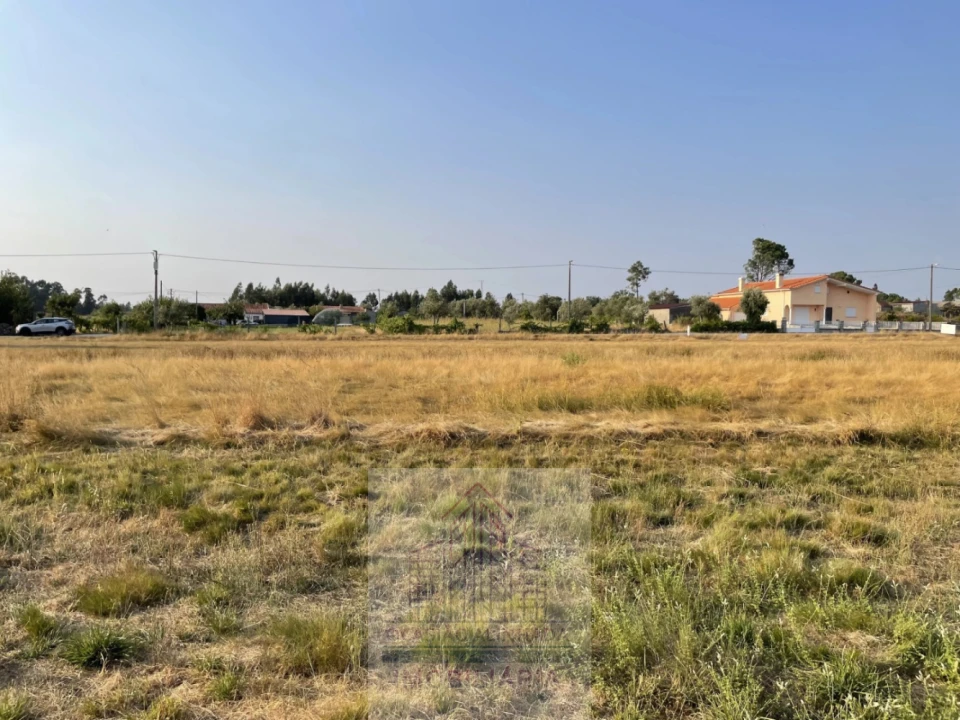 Terreno para Venda em Tourais e Lajes Foto 23