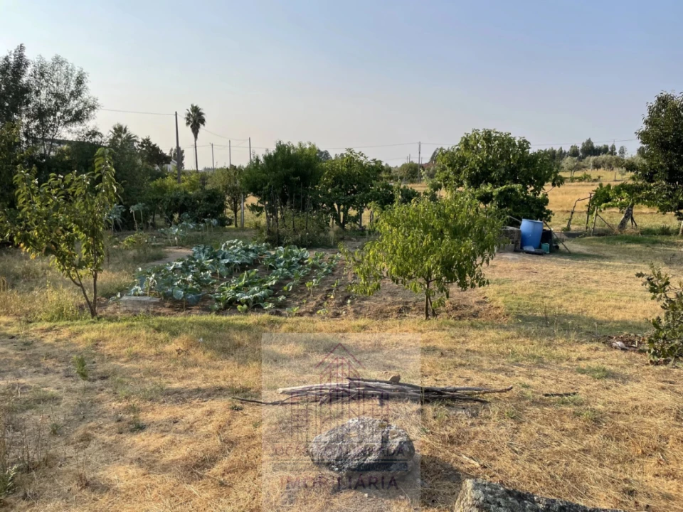 Terreno para Venda em Tourais e Lajes Foto 9