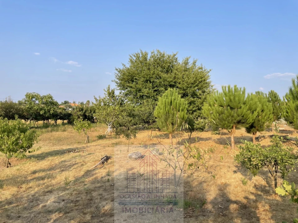 Terreno para Venda em Tourais e Lajes Foto 29