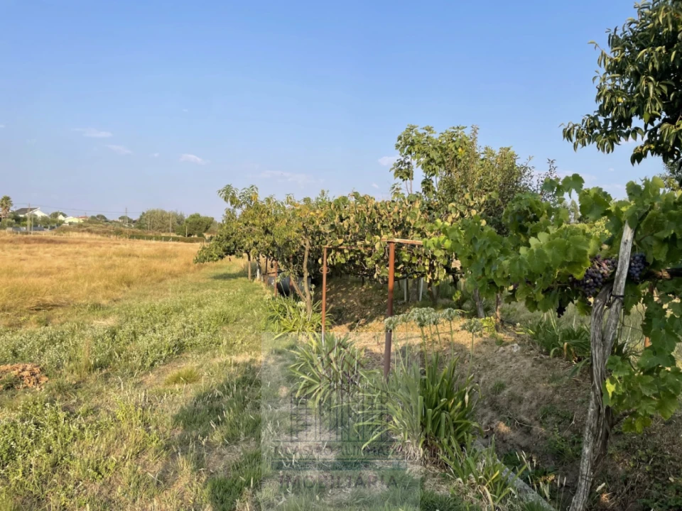Terreno para Venda em Tourais e Lajes Foto 24