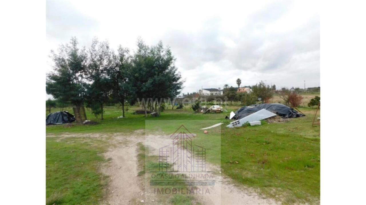 Terreno para Venda em Tourais e Lajes Foto 5