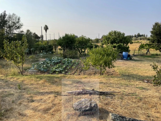 Terreno para Venda em Tourais e Lajes Foto 9
