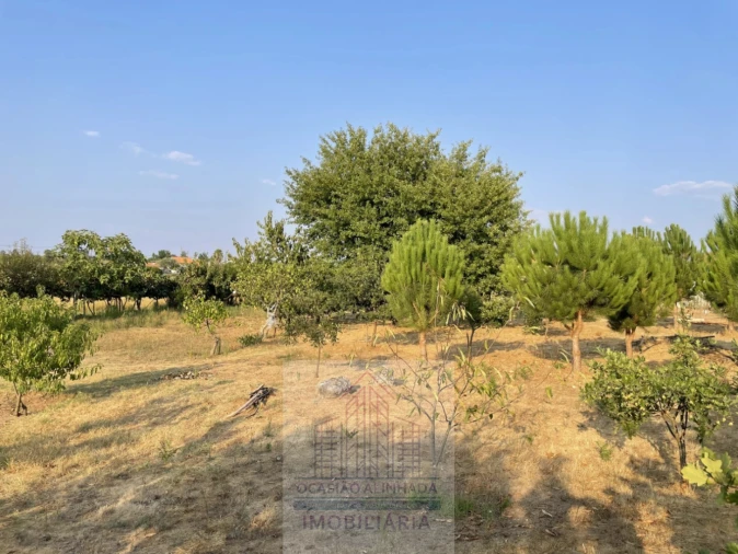 Terreno para Venda em Tourais e Lajes Foto 29