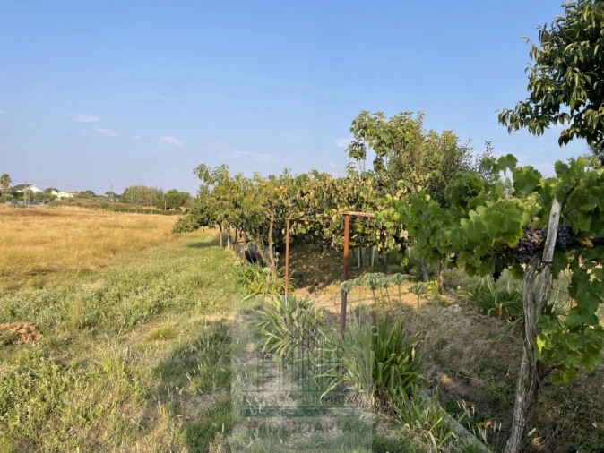 Terreno para Venda em Tourais e Lajes Foto 24