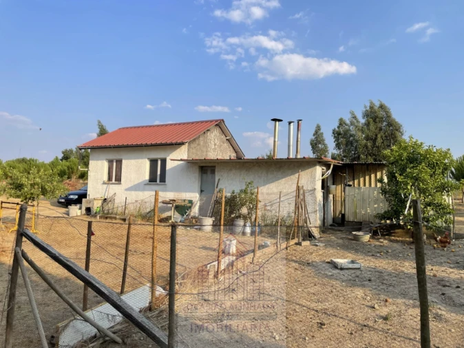 Terreno para Venda em Tourais e Lajes Foto 6