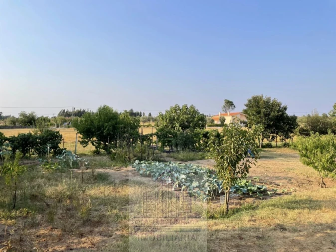 Terreno para Venda em Tourais e Lajes Foto 30
