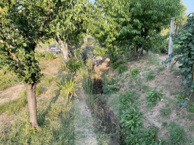 Terreno para Venda em Tourais e Lajes Foto 21