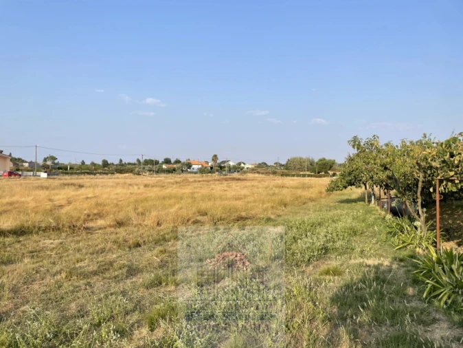 Terreno para Venda em Tourais e Lajes Foto 17