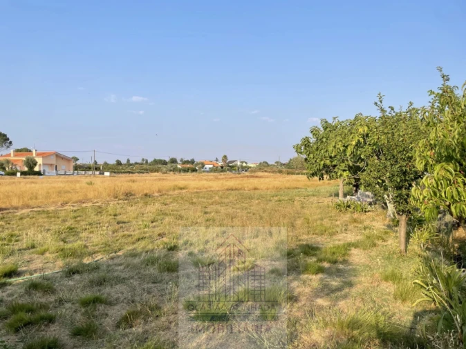 Terreno para Venda em Tourais e Lajes Foto 1