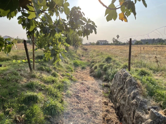 Terreno para Venda em Tourais e Lajes Foto 36