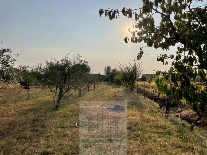Terreno para Venda em Tourais e Lajes Foto 33