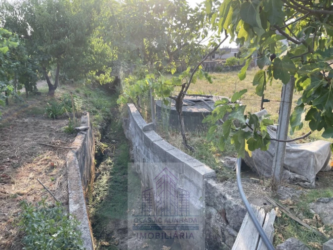 Terreno para Venda em Tourais e Lajes Foto 27