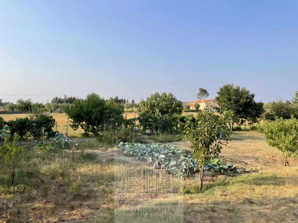Terreno para Venda em Tourais e Lajes Foto 30